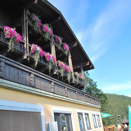 Pension Savisalo Рамзау-ам-Дахштайн Екстер'єр фото